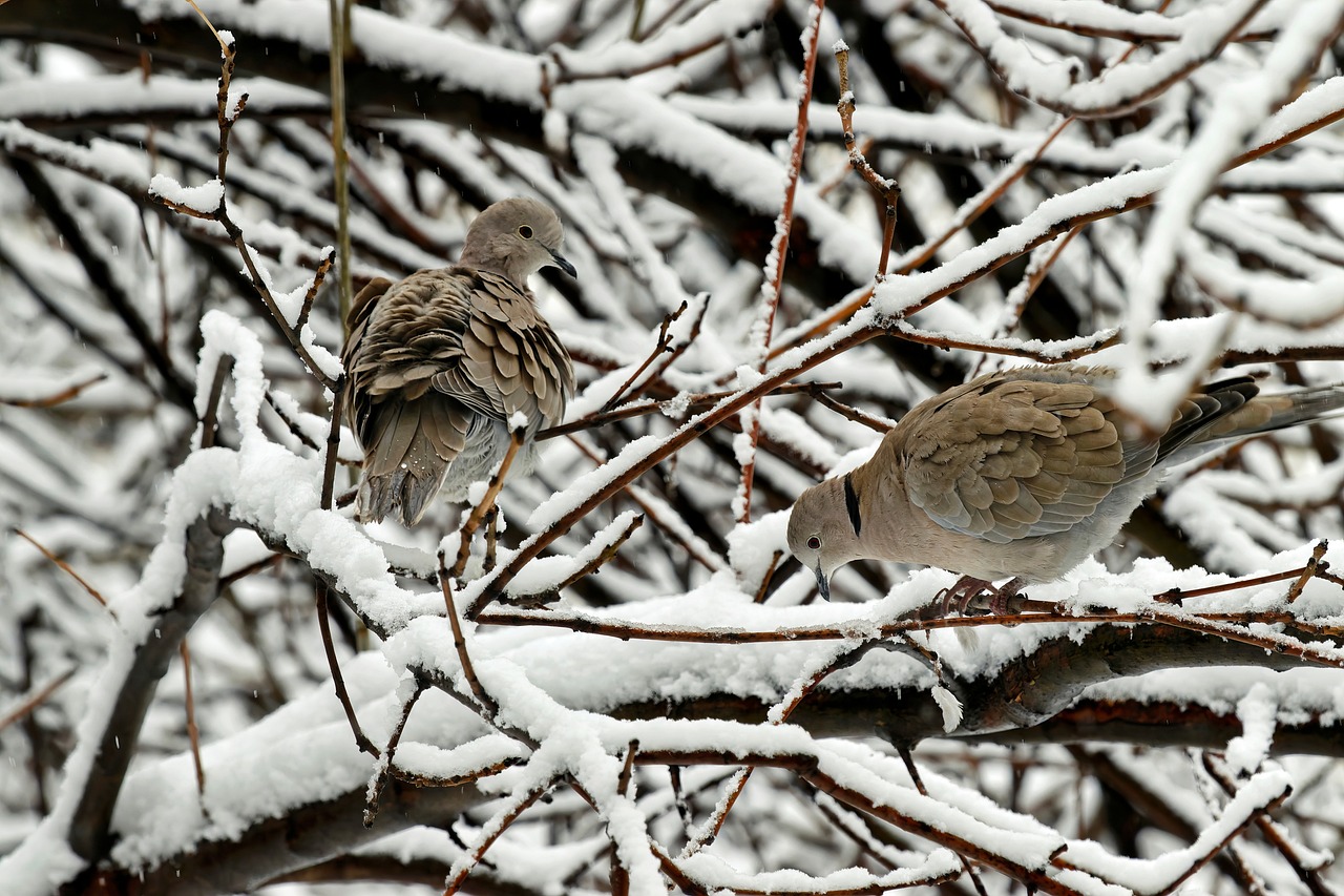 Blog escolar - Clic aquí